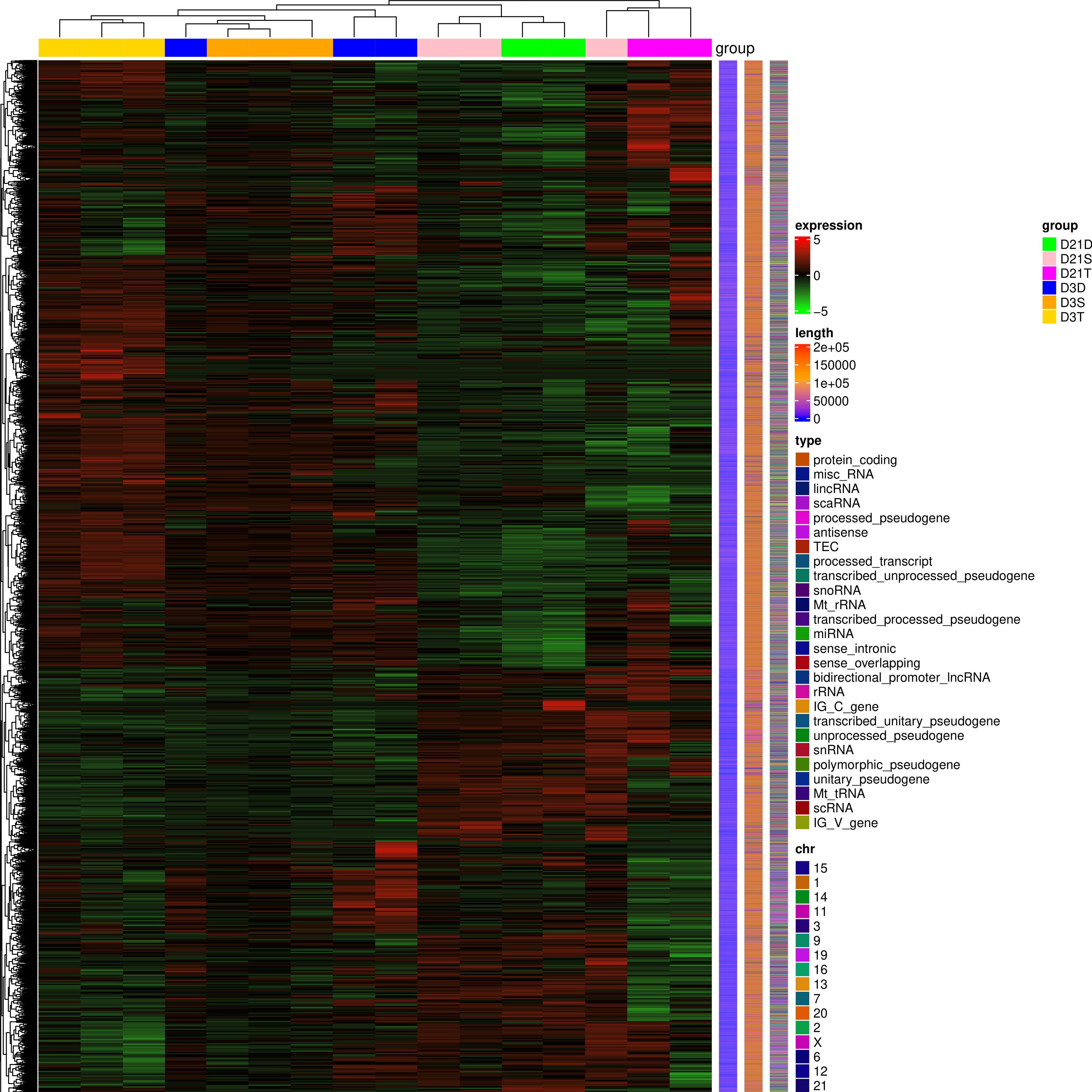 Section of an RNAseq heat map comparing transcription profiles at day 3 and day 21